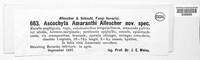 Image of Ascochyta amaranthi